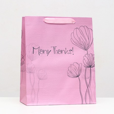 Laminated packet "Many Tohanks" 26 x 32 x 12 cm