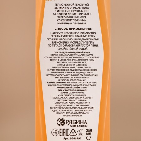 Shower gel, 250 ml, aroma of ginger cookies, Ural Lab-2