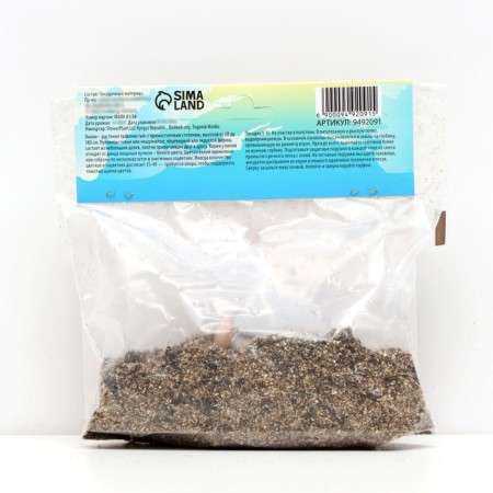 Lilia O.T. Hybrid "Beijing Moon", district 12/14, 2 pcs, spring 2024-2
