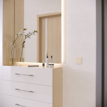 Frame W0012611, 1 Platinum socket, champagne-3