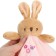 Toy - Comforter "Bunny", rattle, eruption, mum & baby
