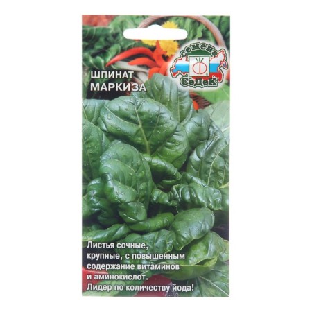 Spinach seeds "Marquise", 2 g