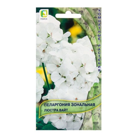 Flower seeds Pelargonium zonal chandelier White, 5pcs