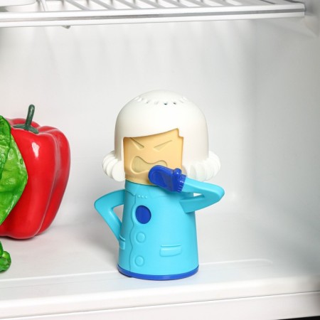 Smell absorber for the refrigerator of the Dolyan-2