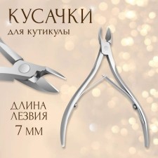 Pleshiles are manicure, double spring, 10 cm, the length of the blade is 7 mm, on the blister, the color is silver