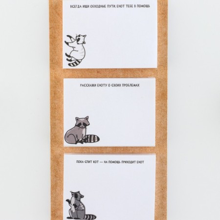 Blocks of paper with torn sheets "Raccoon"-2