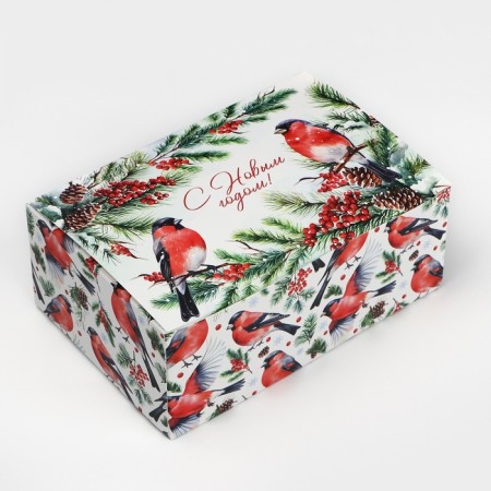 Box the national team "Bullfins", 18 x 12 x 7 cm, New Year-1