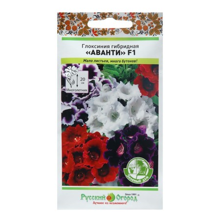 Seeds of indoor flowers "Avanti" Green House, MN, 5 pcs.-3