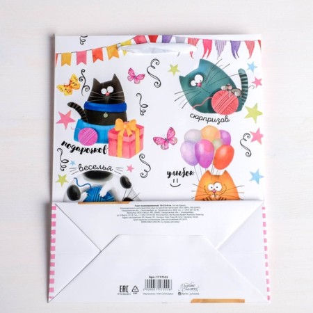 Gift Laminated Vertical, packaging, Funny cats, Ml 23 x 27 x 11.5 cm-3