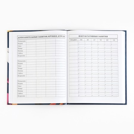 School diary 5-11 grade, in a solid cover, 48 liters. "School accessories"-4