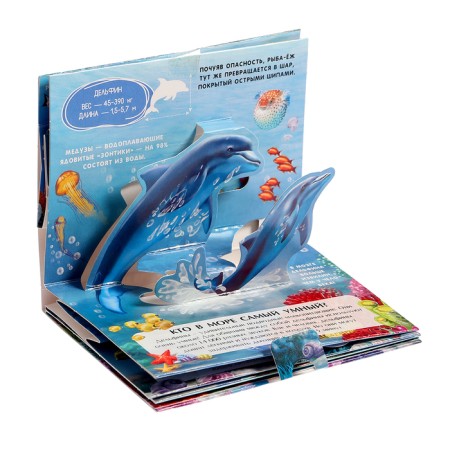 Set "Pocket Pop-up Encyclopedia", set No. 2-6