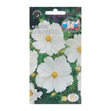 Cosmea Flower seeds 