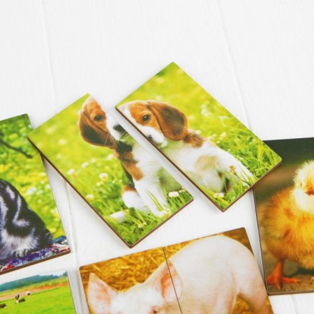 Pictures-Plovinka "Pets"-1