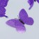 Magnet Plastic "Butterflies Double Wings - Shine" Violet set 12 pcs