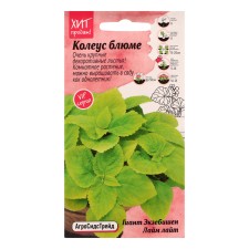 Flower seeds Koleus Bluma 