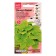 Flower seeds Koleus Bluma "Giant Excishen Lime Light", 10 pcs