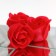 Soap roses and a bear cub, set