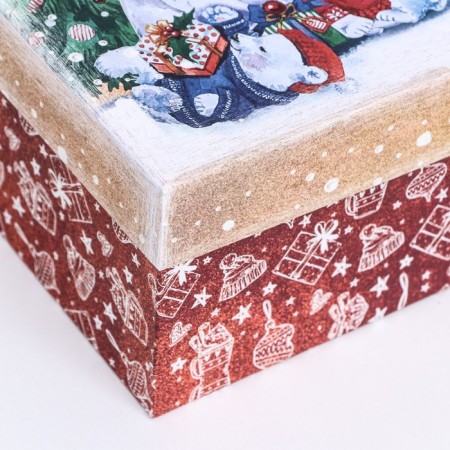 Rectangular box "Bear", 27 × 17 × 11 cm-2