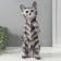 Figure "Kitten Tom" 27 x 10 x 10 cm.