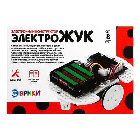 Electro-Zhuk robot Euryk, electronic designer, interactive: travels along the line, on batteries-16
