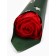 New Year's soap red rose