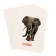 Training cards "Wild animals"