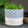 Flower pot "Hokkaido" White, 0.75 liters