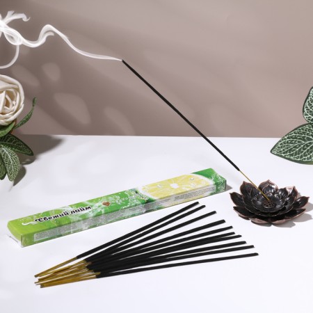 Incense hem "Patchouli. Pachuli", 20 sticks in packaging, hexagon