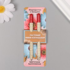 Growing gift pencils mini 
