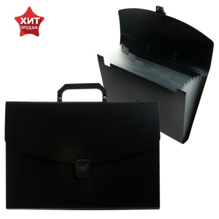 A4 Calligrata Folder Portfire, 6 departments, 700MKM, up to 300 sheets, black