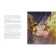 Classic fairy tales at night