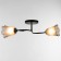 Lily chandelier (flower) 2x15W E27 Model: BR 00254 Black