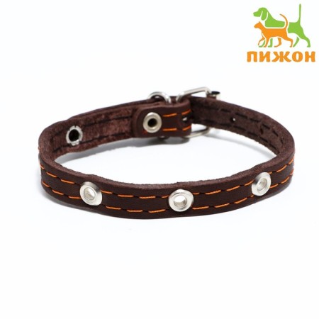 Collar leather single-layer, dimensionless 30 x 1 cm, Osh 19-27 cm, brown