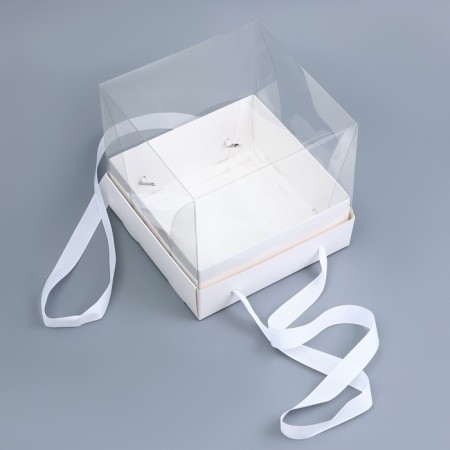 Cake box with a transparent lid, white, 17 x 17 x 15 cm-1