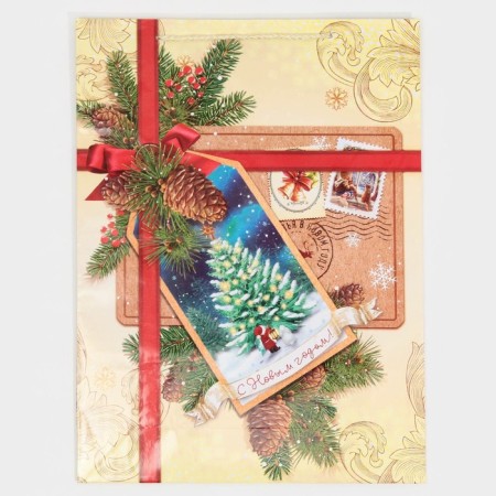 Laminated vertical package “Happy New Year!”, L 28 x 38 x 9 cm, New Year-6