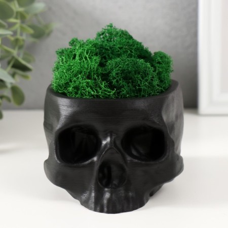 Kashpo concrete "Skull" with moss black 13x9x6.5 cm (moss green stabilized)