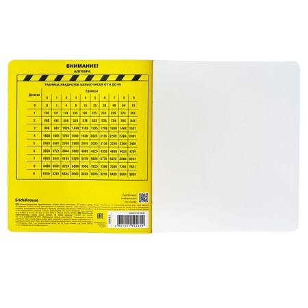 Subject notebook, 48 sheets, cage, algebra, Erichkrause "BE Informed", plastic cover silk-screen covers, Bellar Beliac block 100%, information block-6