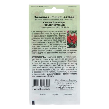 Salvia flowers "Sisler red", 10 pcs-1