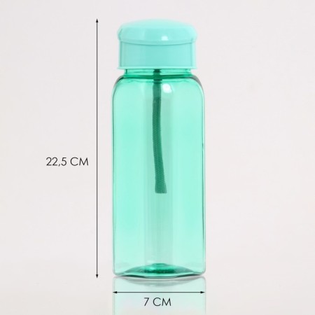 Water bottle, 550 ml, Laguna, 4.7 x 22.5 x 7 cm, mix-1