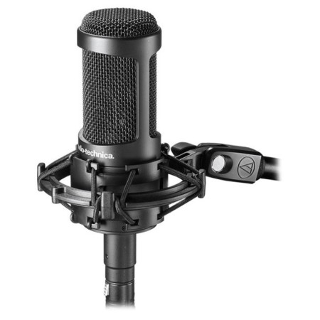 Audio-Technica AT2050 studio microphone-1