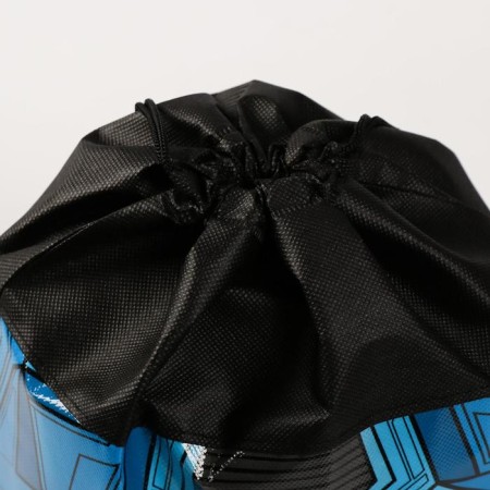A bag for shoes n/canvas "The most daring" 30 x 40 cm-4
