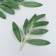 Decor for creativity "Long leaves on a twig" set 4 pcs green 17 cm