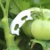 Closure Discover "Snail", 3.5 cm, set of 50 pcs., Greengo