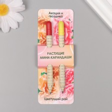 Growing gift pencils Mini 