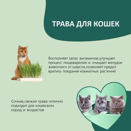 Titbit grass for cats, barley, 50 g-2