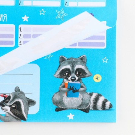 Planning schedule of A4 schoolboy, 30 sheets "Raccoon"-1