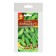 Cucumber F1 Cucumber seeds, Early Nednie, parthenocarpic, set of 5 pcs