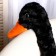 Soft toy "goose", black color