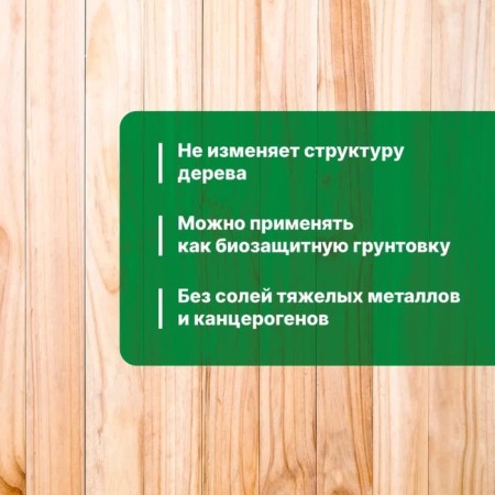 Antiseptic for internal work Prosept Interior, concentrate, 1l-2