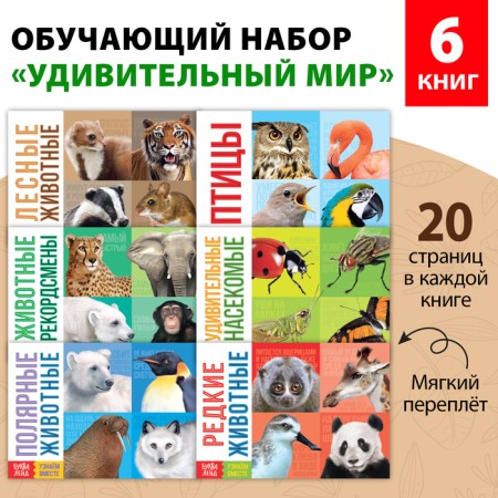 Teaching books Set "Amazing World" 6 pcs. 20 p.